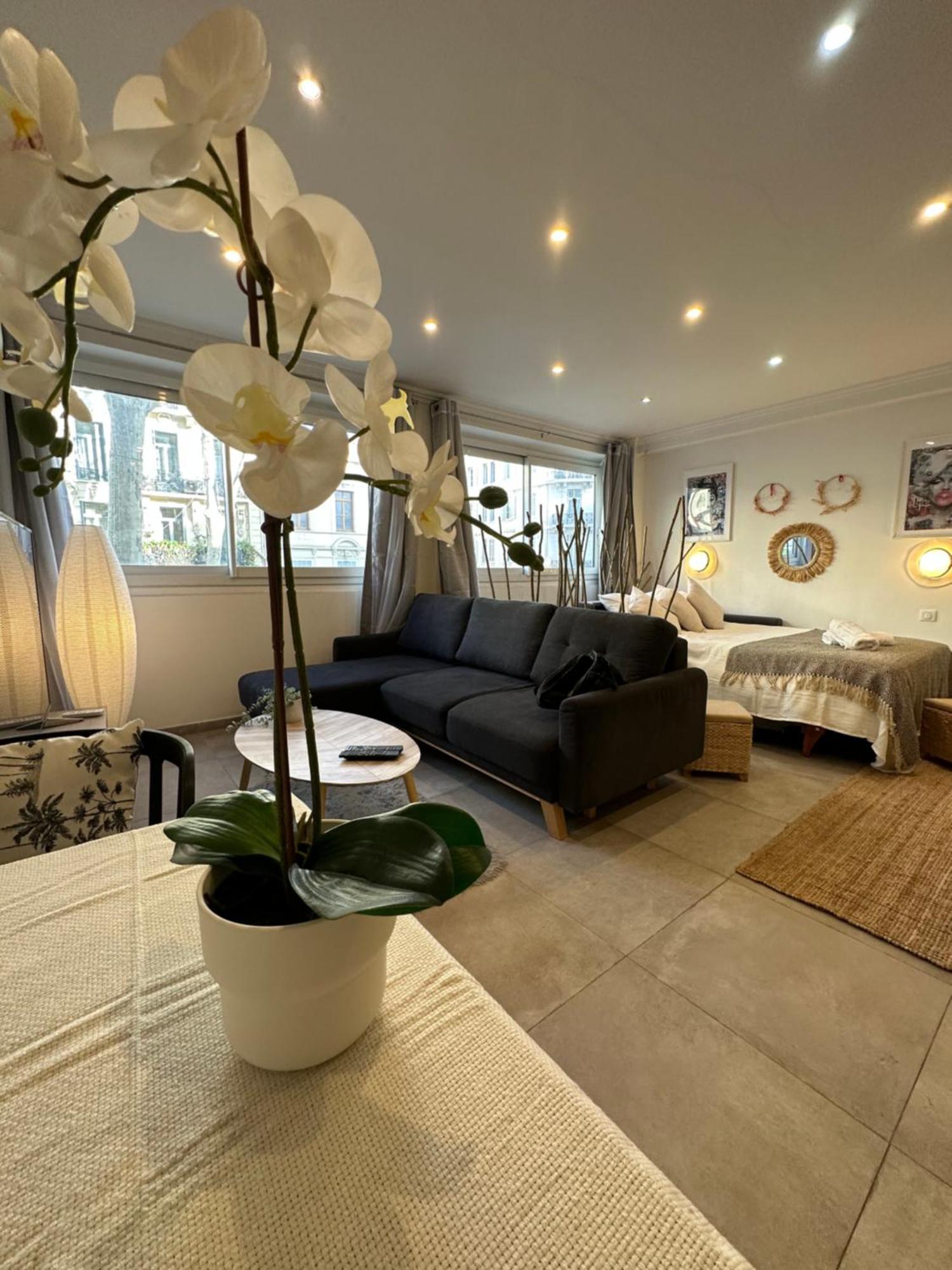 Grand Studio Cosy Cannes Centre Bagian luar foto
